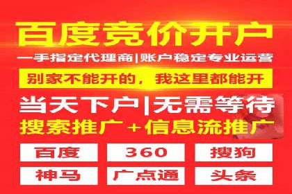 某品牌通过SEM关键词实现品牌推广的实战案例